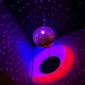 Meet your Posher, Sandy